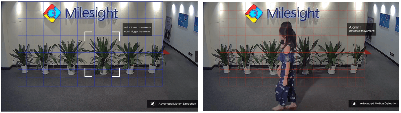 Advanced Motion Detection